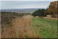 On Ashdown Forest