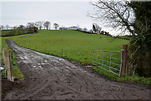 H4866 : A muddy lane, Rarone by Kenneth  Allen