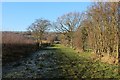 Wide Grass Footpath by Sheep Fold Farm