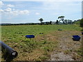 Grazing off West Rolstone Road