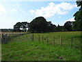 Field entrance and grazing off Smallway (B3133), Frost Hill