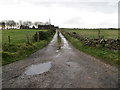 Farm track leading to Strathellie