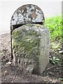 Old Milestone by the A1150 in Great Burdon