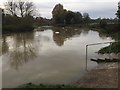 SP2965 : River level has hardly changed since the previous day, Warwick (2) by Robin Stott
