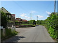 Chelvey Road near Holly Lodge