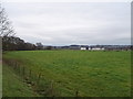 Grazing towards Dancingknowe