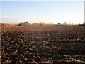 Ploughed field on the edge of Leasingham