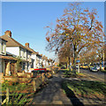 Mowbray Road in December