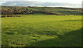 Field near Southcott Cottages