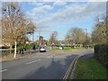 Roundabout on the junction of Argyle Road and Scotch Common