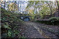 Silverdale Railway Tunnel East Side (Disused)