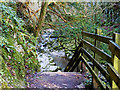 SD6973 : Ingleton Waterfalls Trail, Swilla Glen by David Dixon