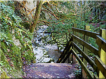 SD6973 : Ingleton Waterfalls Trail, Swilla Glen by David Dixon