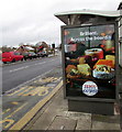 ST3090 : Cheesy advert on a Malpas Road bus shelter, Newport by Jaggery