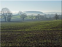 SJ6502 : Arable land on Benthall Edge by Philip Halling