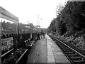 Denby Dale Railway Station