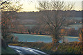 Halberton : Country Road