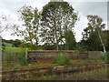 Disused platform, Honley Railway Station