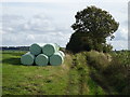 Silage bales, Lower Cumberworth 