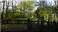 Hollinwood Branch Canal path at Daisy Nook Country Park, near Failsworth