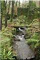 NX0252 : Remains of mill dam by Richard Sutcliffe