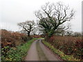 Heol fach ger Ffarm Llwyncelyn / Minor road near Llwyncelyn Farm