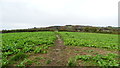 Field path leading from Watling St, Craven Arms towards Sibdon Carwood