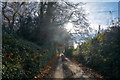 SY0585 : Bicton : Chapel Lane by Lewis Clarke