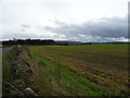 SE1711 : Farmland off Farnley Road by JThomas
