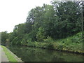 Birmingham Canal Navigation