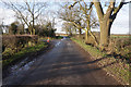 Beesby  Walk (road) near Mill Lane