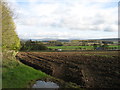 Fields east of Calthwaite