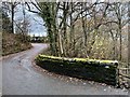 Bridge over stream