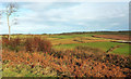 Farmland around Kingsland Lane