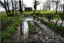 H4269 : A waterlogged lane, Creevangar by Kenneth  Allen
