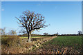 SU3389 : Flat Landscape in the Vale by Des Blenkinsopp
