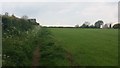 Path going up past the water tower