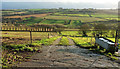 Track to Withyditch Lane