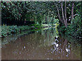 Caldon Canal near Northwood in Stoke-on-Trent