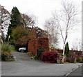 Late autumn colours, Sunnybank, Brecon