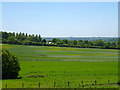 View with grazing deer