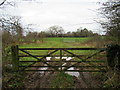 Gate into field