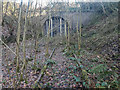 Silverdale Railway Tunnel West Side (Disused)