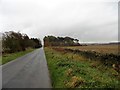 View down the country lane