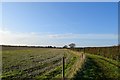 Footpath to Rook Hall