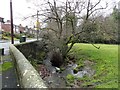 Elm Park Burn at Shotley Bridge