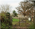 Footpath, Tracy Park