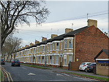 TA0831 : Cranbrook Avenue, off Cottingham Road by Stephen Craven
