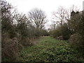 Trackbed of the former Great Central London Extension