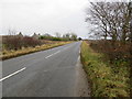 Road (B9093) at Knowehead